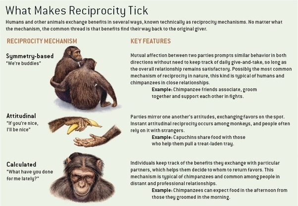 HowAnimalsDoBusiness